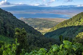 Ngorongoro Wildlife